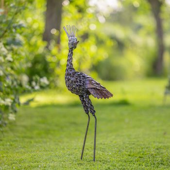 Kroonkraanvogel klein